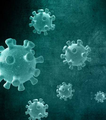 Pruebas infecciosas